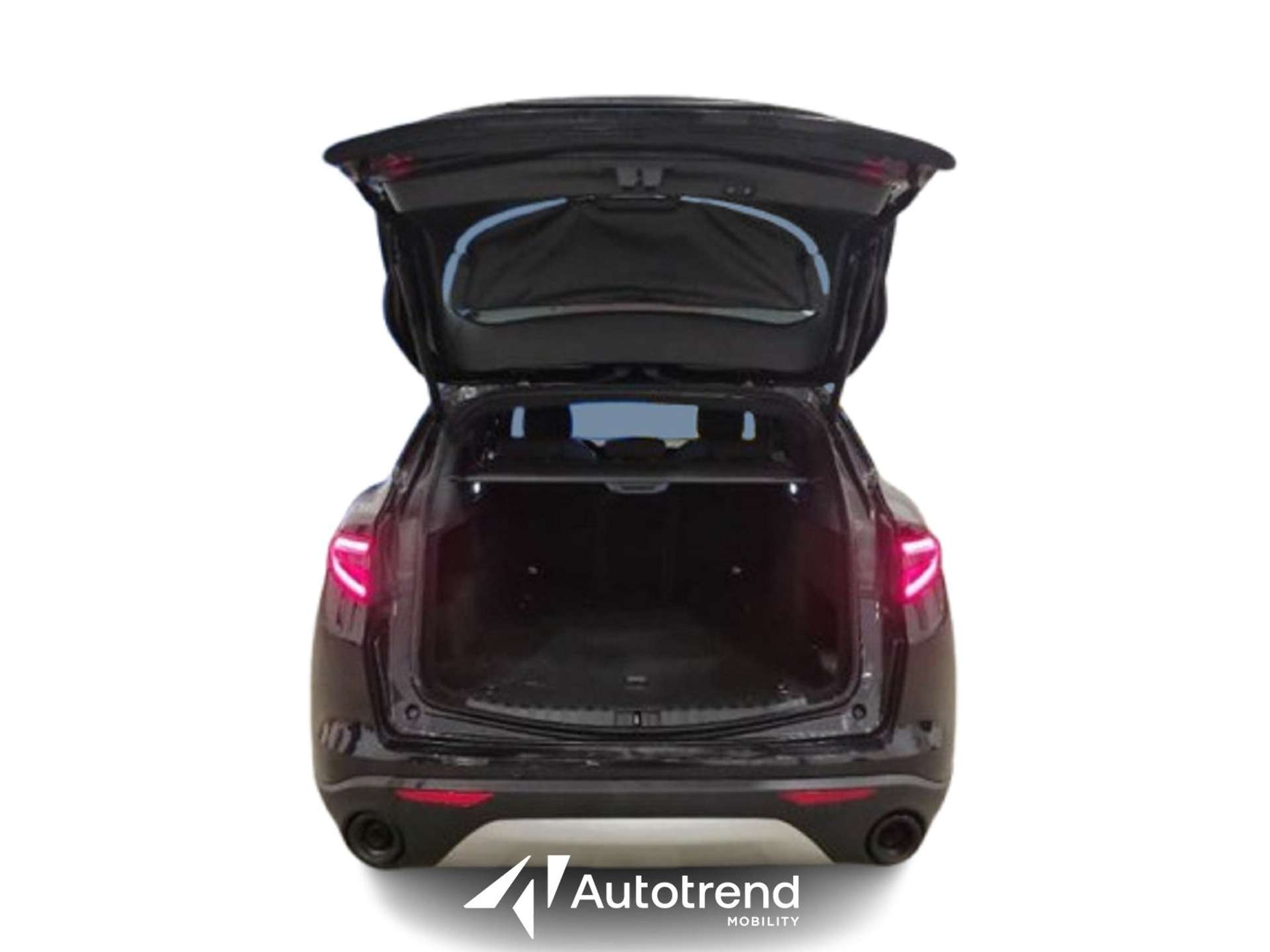 Alfa Romeo Stelvio  2.2 Turbo Diesel 160 CV Automatica AT8 Super Business RWD